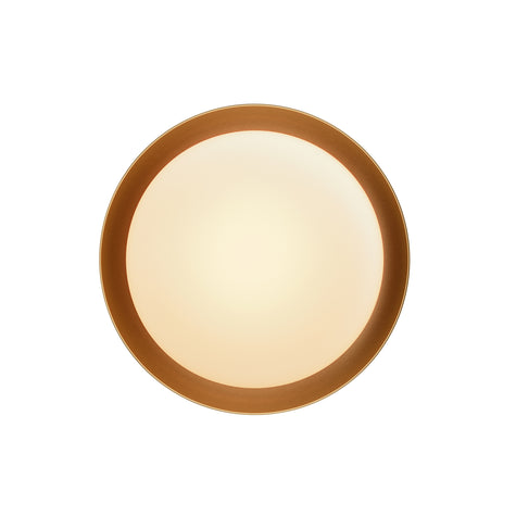 Bond Sconce Single