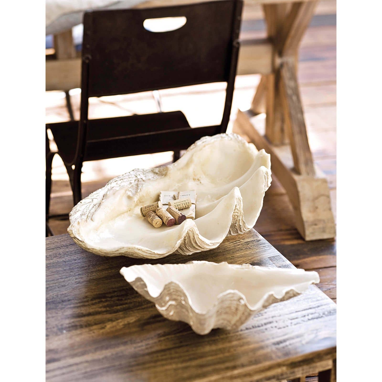 Regina Andrew Imperial Clam