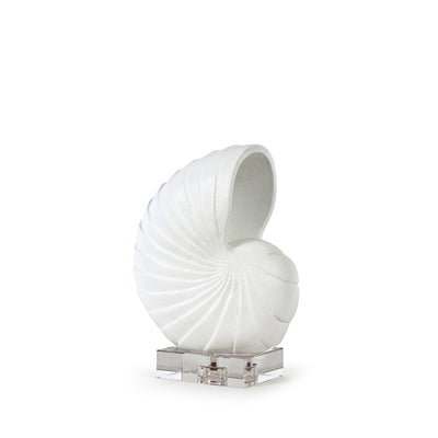 Regina Andrew Nautilus White Shell
