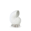 Nautilus White Shell