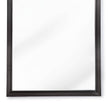 Regina Andrew Rectangle Mirror