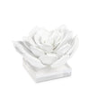 Regina Andrew Succulent Resin Sculpture