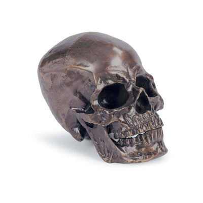 Regina Andrew Metal Skull