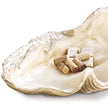 Regina Andrew Imperial Clam