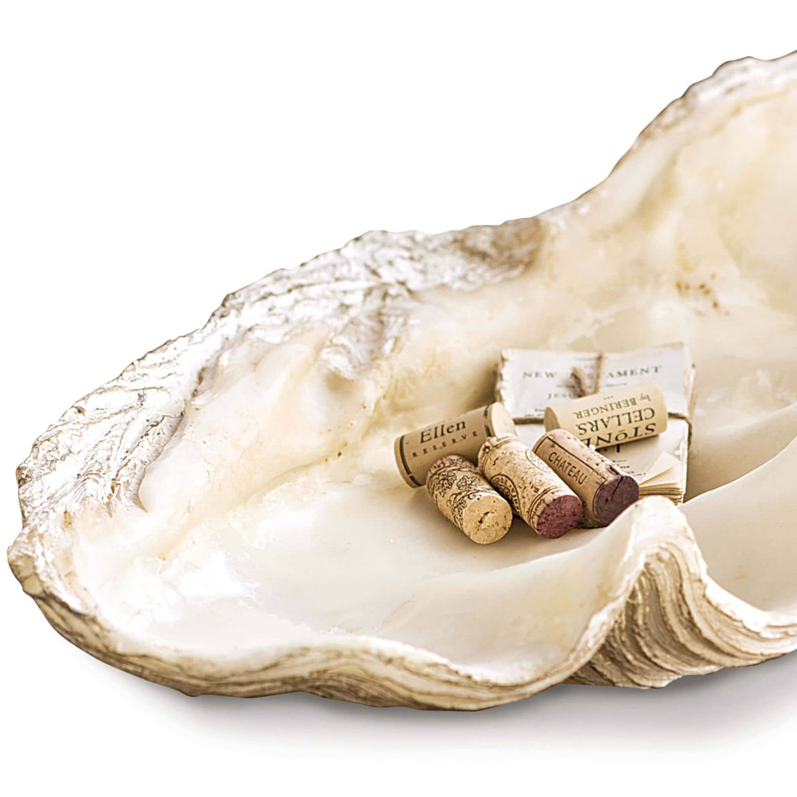 Regina Andrew Imperial Clam