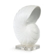 Nautilus White Shell