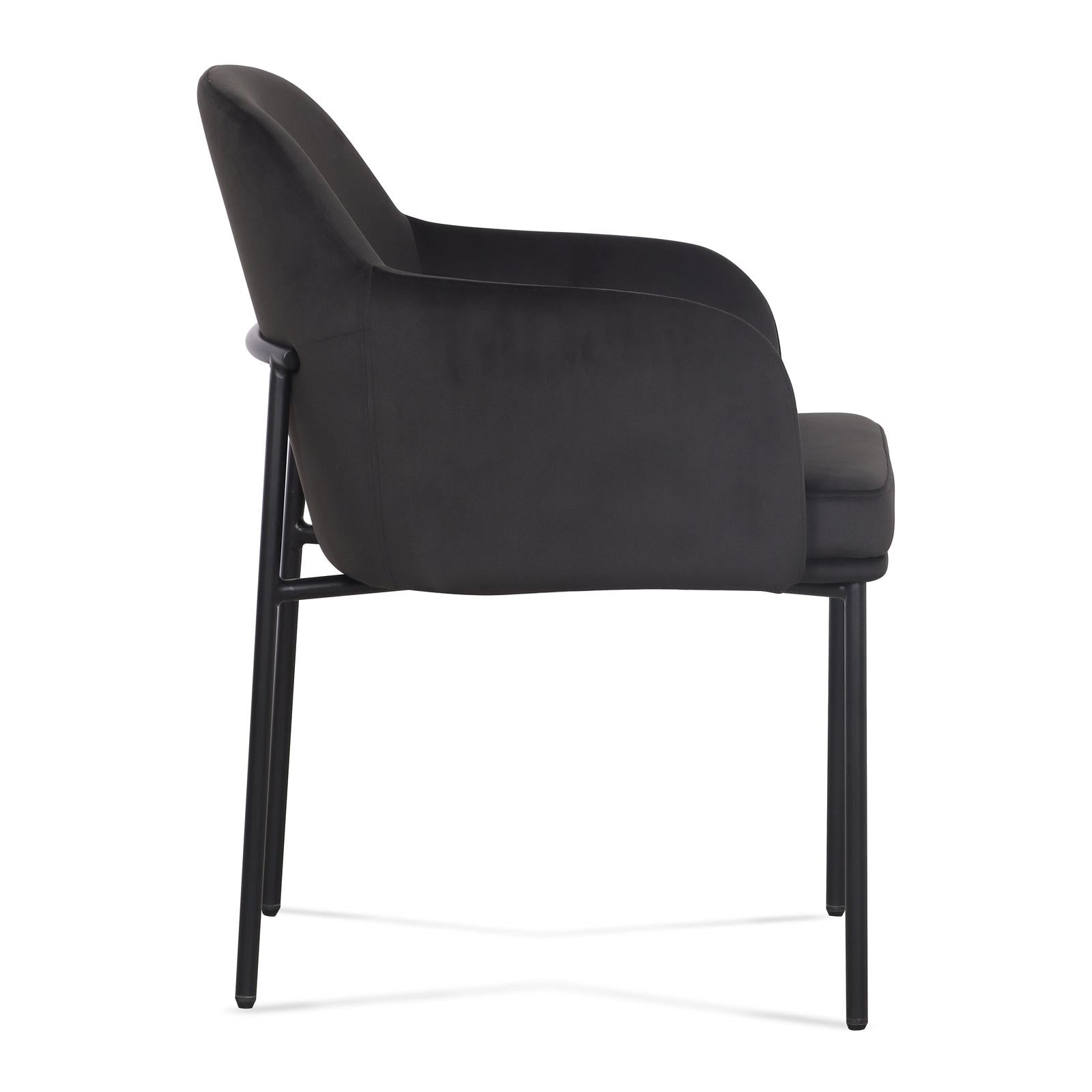 TOV Furniture Sydney Performance Velvet Armchair - Set of 2