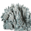 Regina Andrew Coral Art Piece