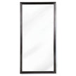 Regina Andrew Rectangle Mirror