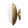 Bond Sconce Single