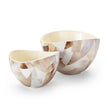 Regina Andrew Jake Bowl