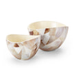 Regina Andrew Jake Bowl