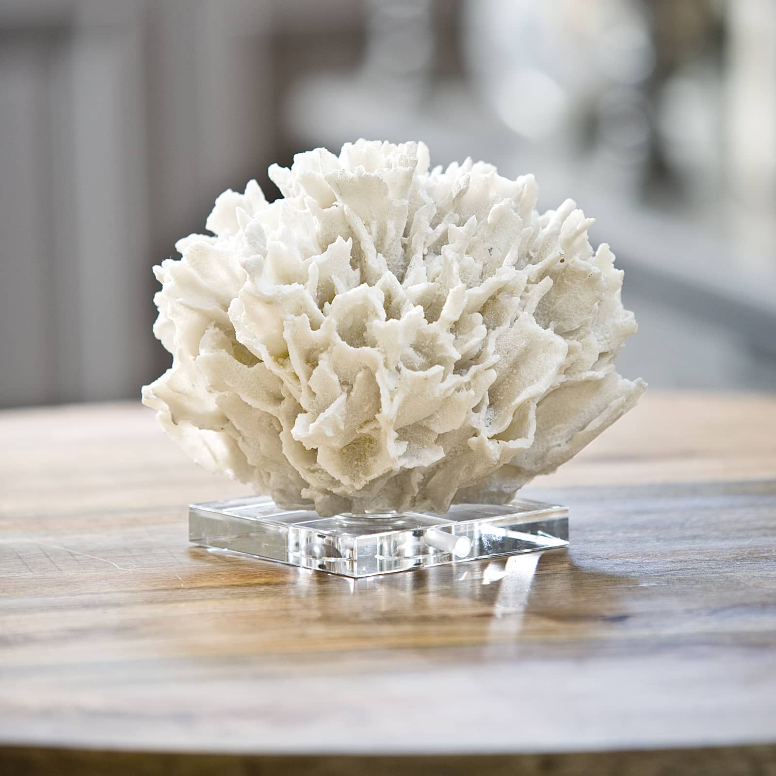 Regina Andrew Ribbon Coral