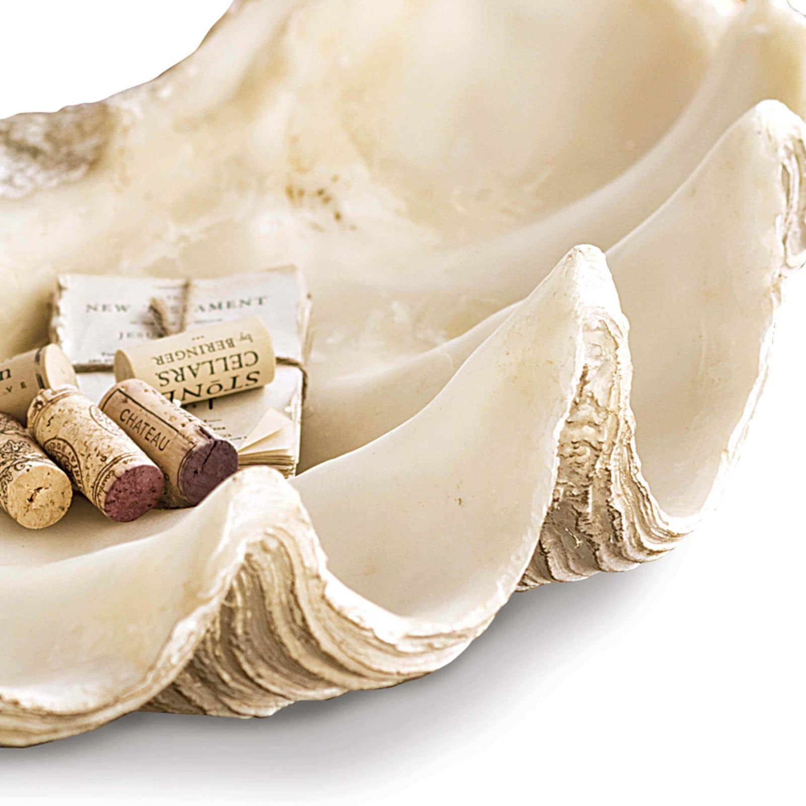 Regina Andrew Imperial Clam