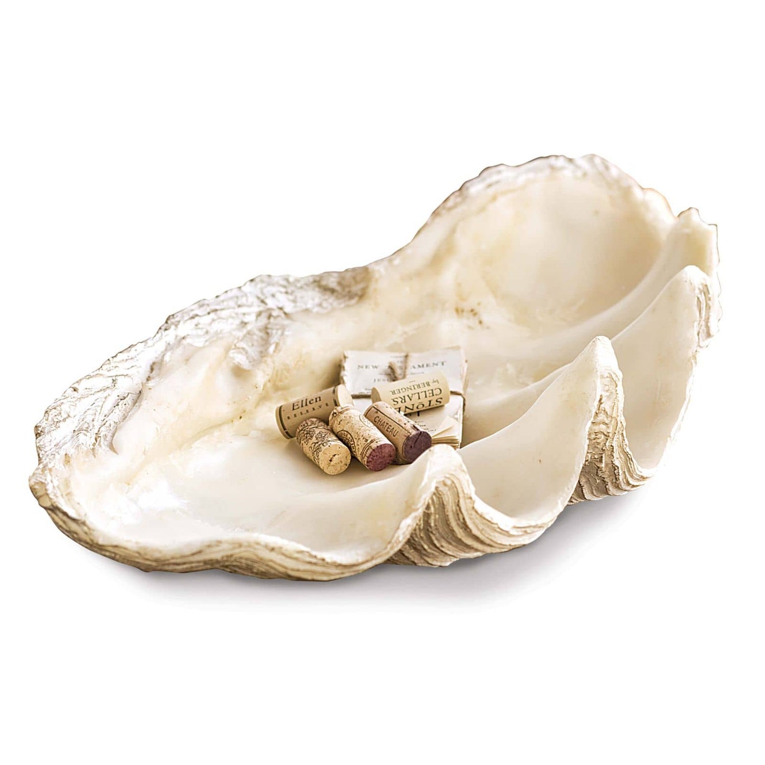 Regina Andrew Imperial Clam