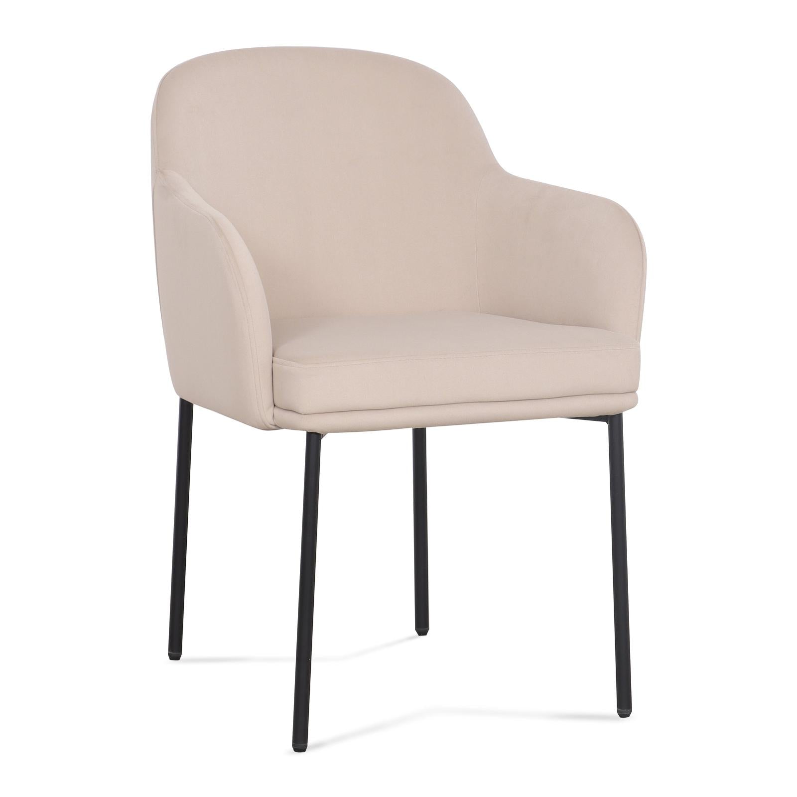 TOV Furniture Sydney Performance Velvet Armchair - Set of 2