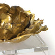 Regina Andrew Adeline Accessory