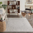Nourison Infinite IFT02 Vintage Indoor Rug