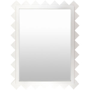 Surya Harrison Accent Mirror MRR-1007 57