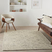 Nourison Colorado CLR05 Modern Indoor Rug