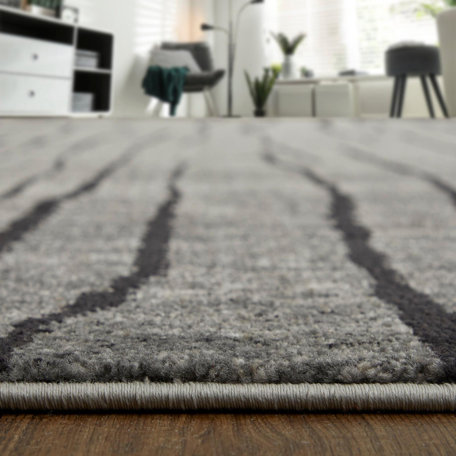 Feizy Kano 39LIF Transitional Abstract Rug