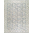 Surya Aram NBAR-2305 Machine Woven Rug