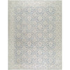 Surya Aram NBAR-2305 Machine Woven Rug