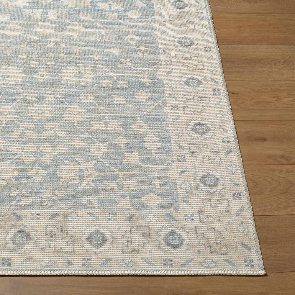 Surya Asha NBAS-2304 Machine Woven Rug