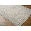 Surya Athiyo NBAT-2304 Machine Woven Rug