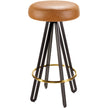 Surya Oberon Bar Stool