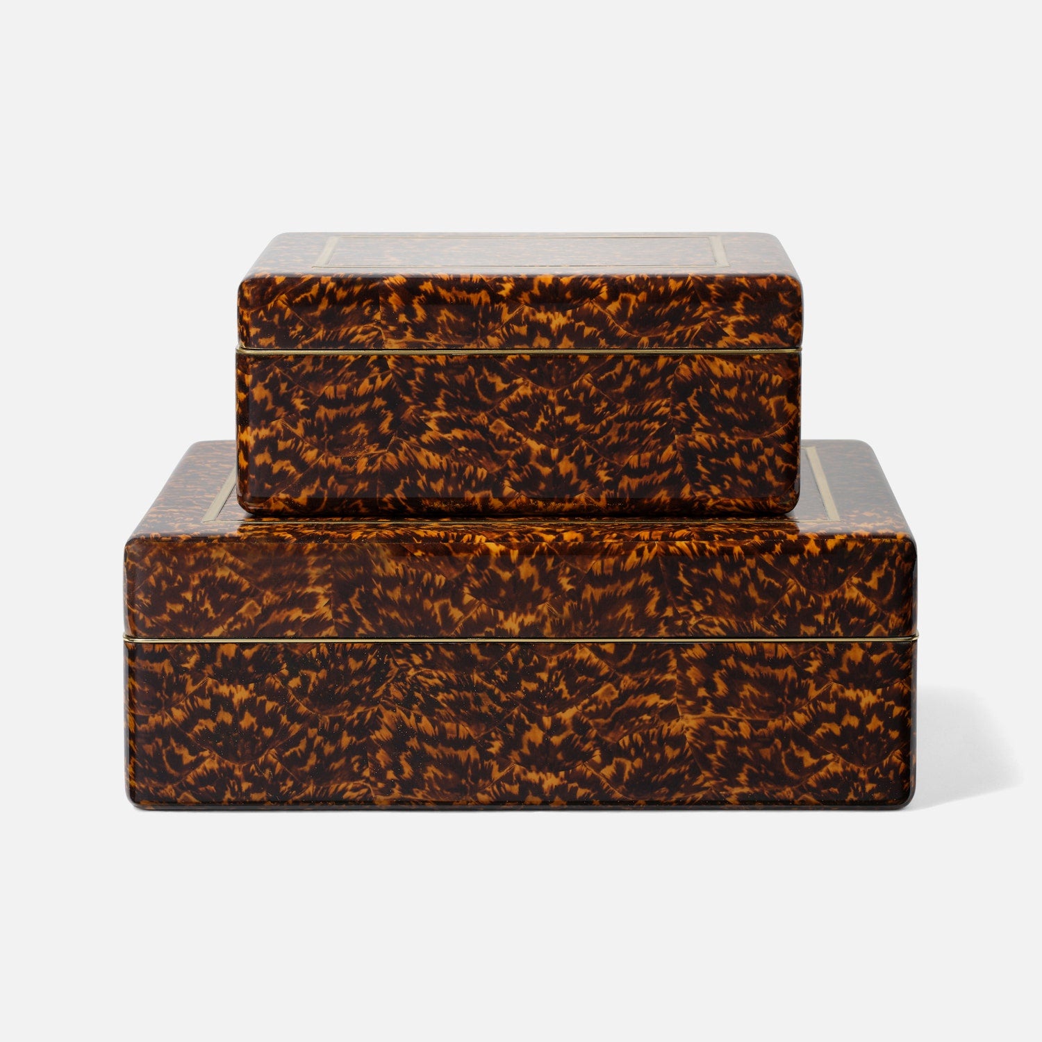 Arnold Faux Tortoise Box - Set of 2