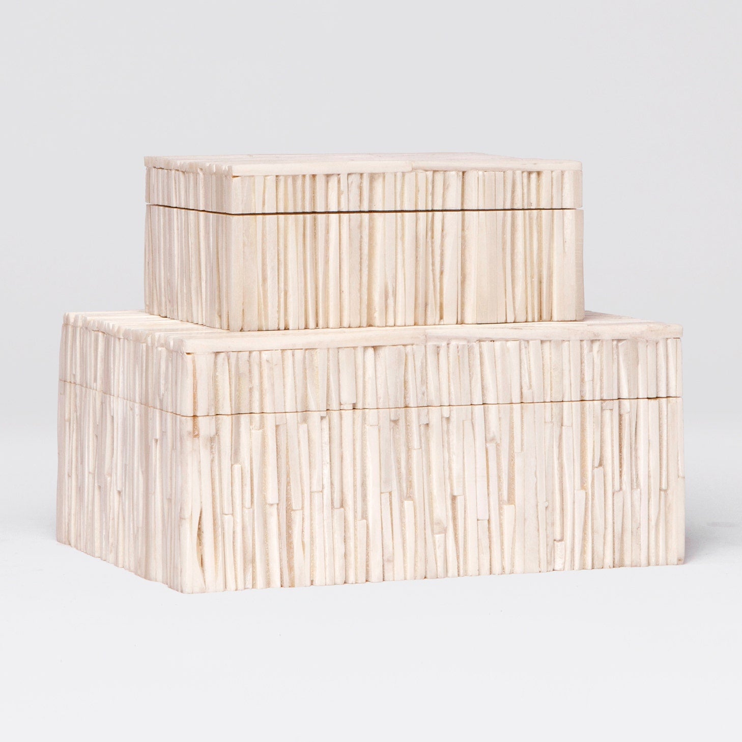 Asher Bone Box - Set of 2