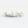 Coco Faux Coral Tray