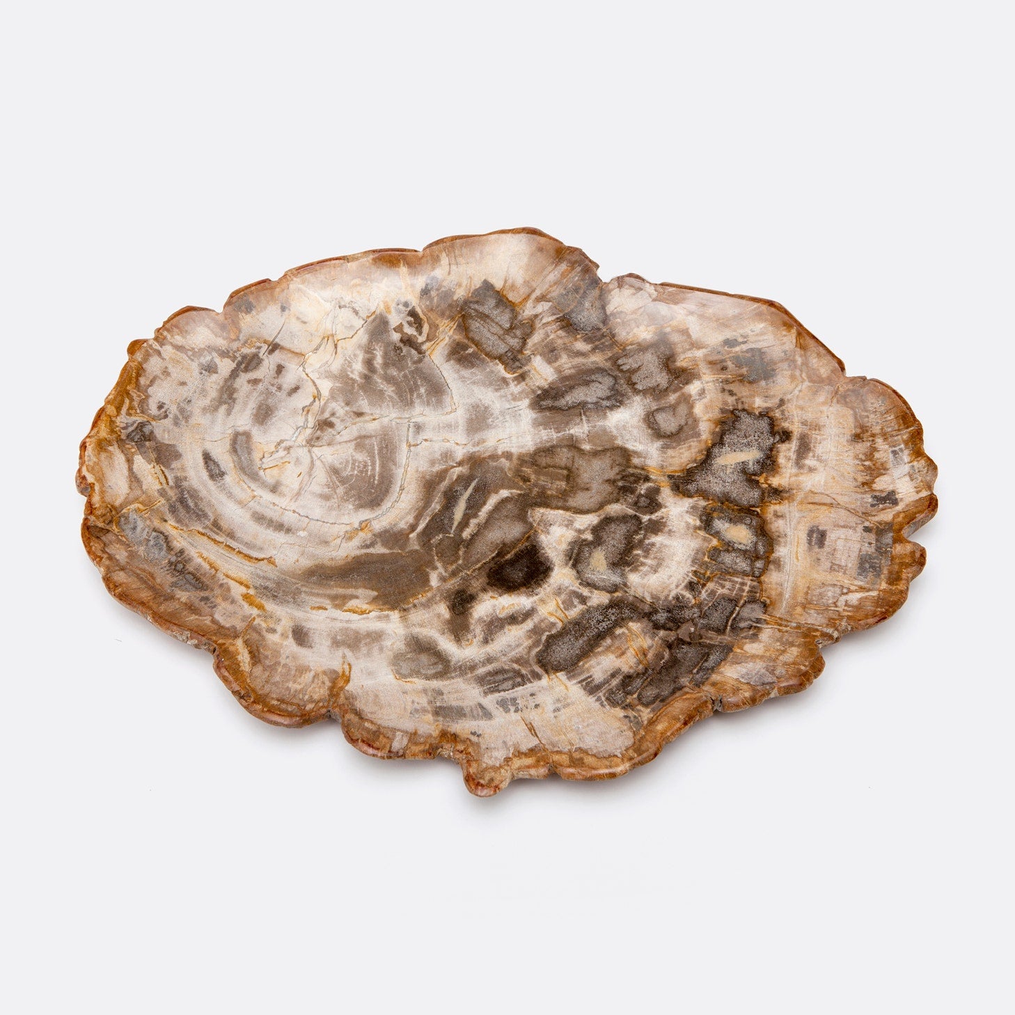 Dashiell Petrified Wood Tray