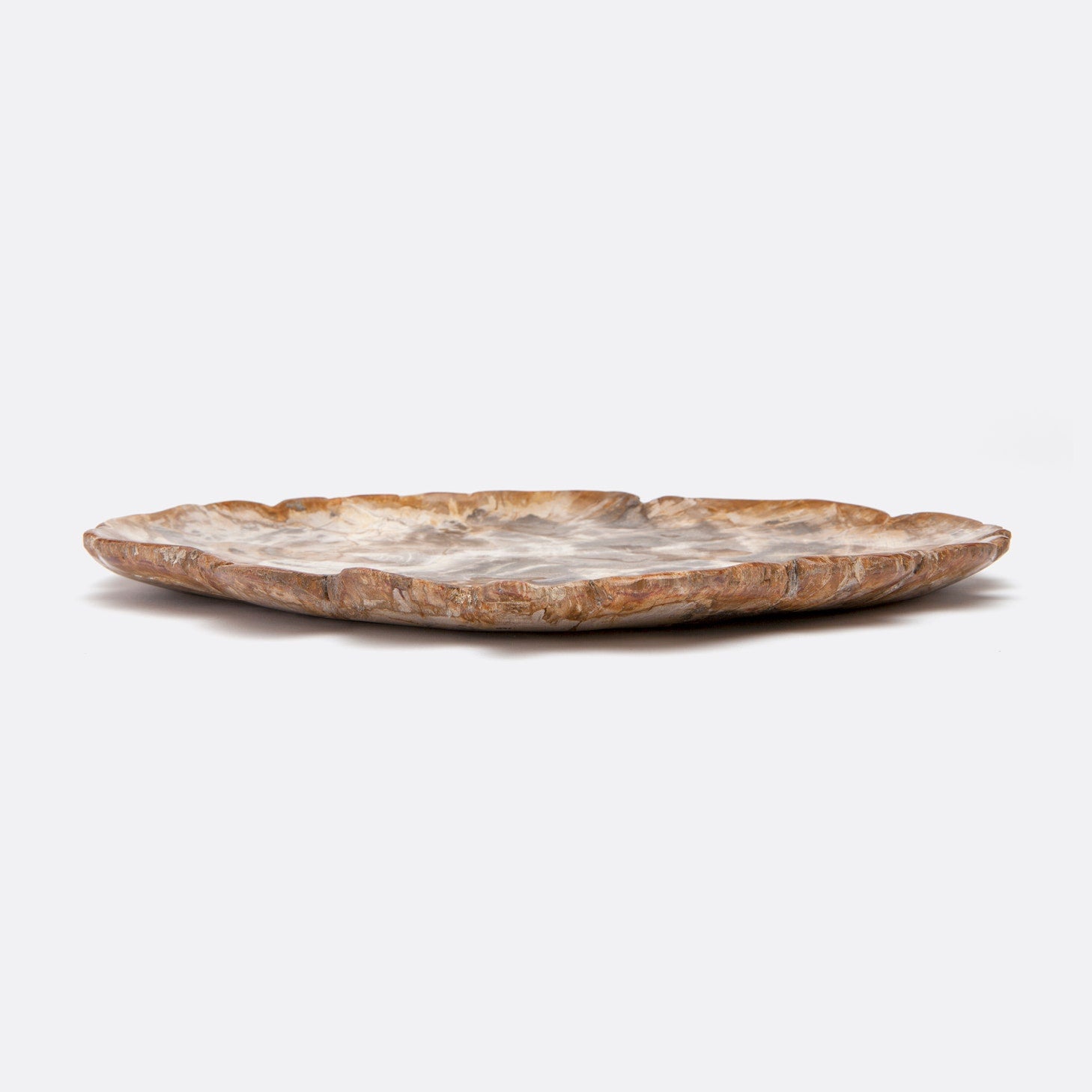 Dashiell Petrified Wood Tray