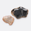 Dashiell Petrified Wood Tray