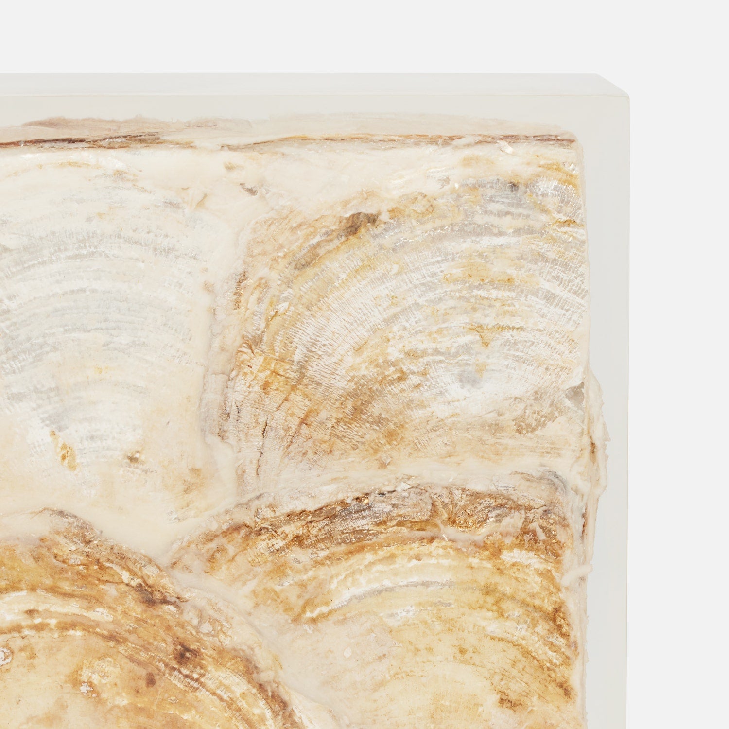 Elara Capiz Shell Bookend Set
