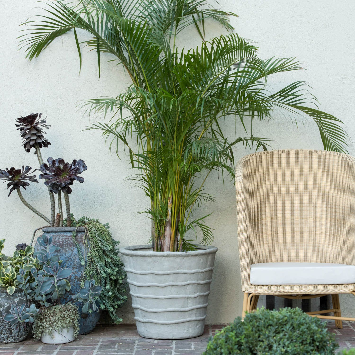 Made Goods Gerard Planter Pot