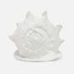 Gian Porcelain Conch Sculpture - Multiple of 2