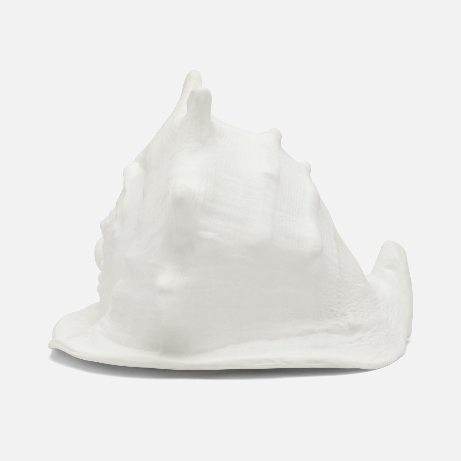 Gian Porcelain Conch Sculpture - Multiple of 2