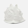 Gian Porcelain Conch Sculpture - Multiple of 2