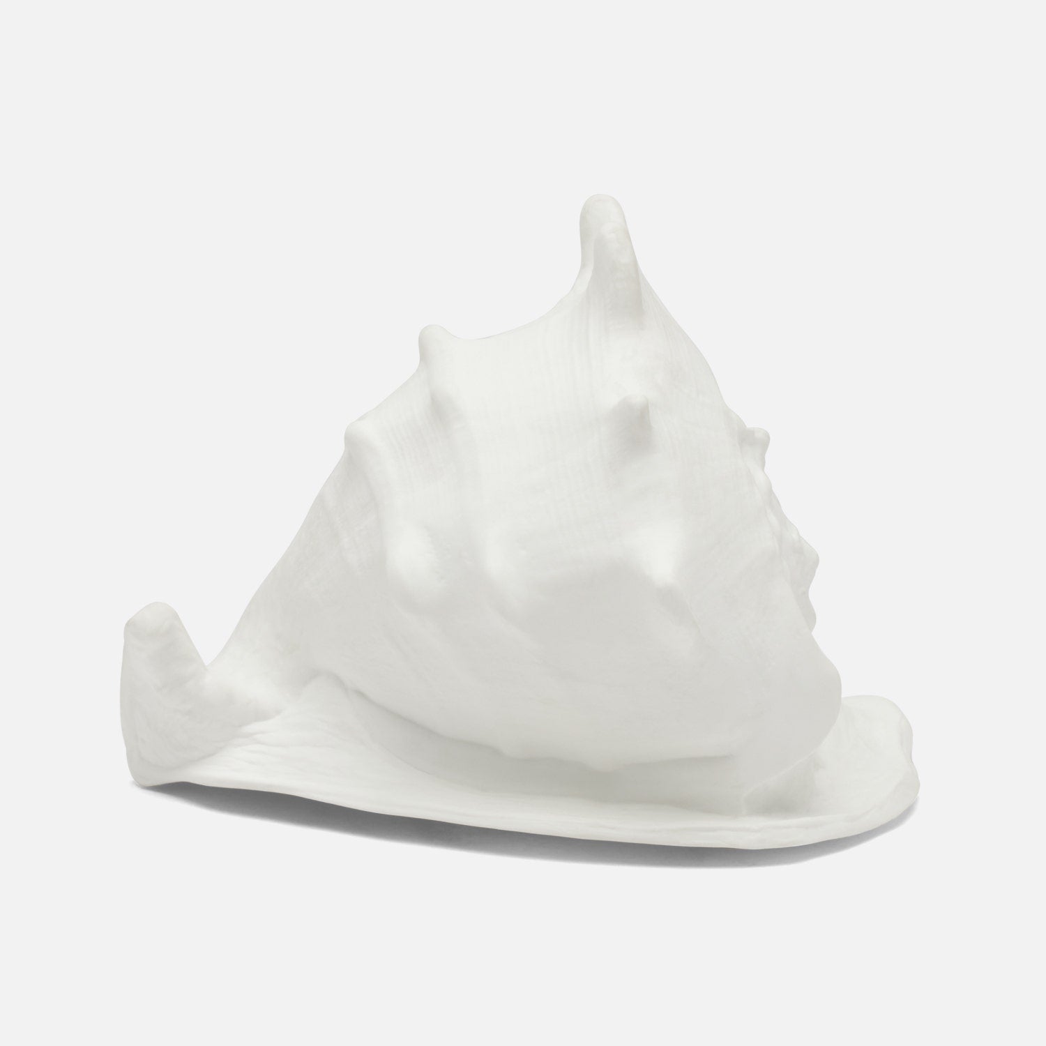 Gian Porcelain Conch Sculpture - Multiple of 2