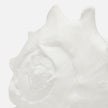 Gian Porcelain Conch Sculpture - Multiple of 2