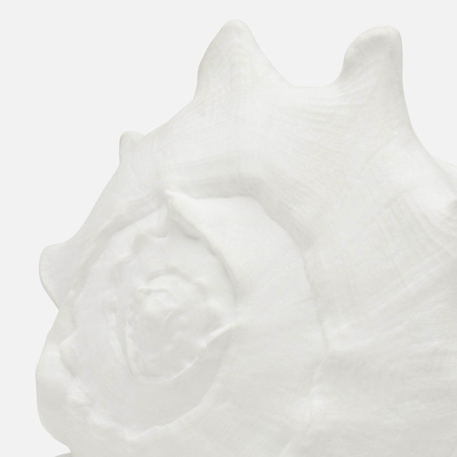 Gian Porcelain Conch Sculpture - Multiple of 2