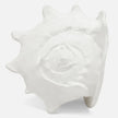 Gian Porcelain Conch Sculpture - Multiple of 2