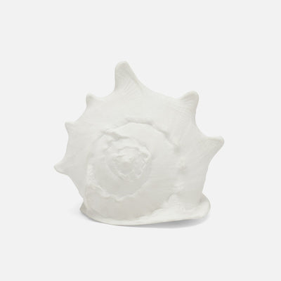 Gian Porcelain Conch Sculpture - Multiple of 2