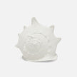 Gian Porcelain Conch Sculpture - Multiple of 2