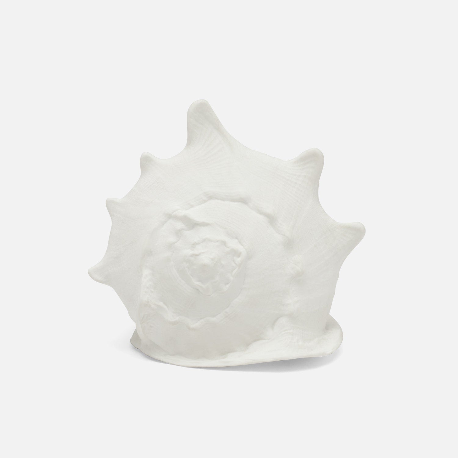 Gian Porcelain Conch Sculpture - Multiple of 2