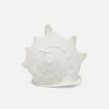 Gian Porcelain Conch Sculpture - Multiple of 2