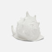 Gian Porcelain Conch Sculpture - Multiple of 2